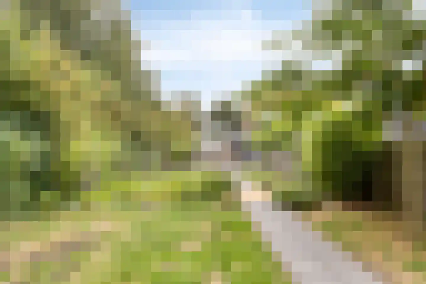 Molenweg 14 Bruinisse thumbnail 37