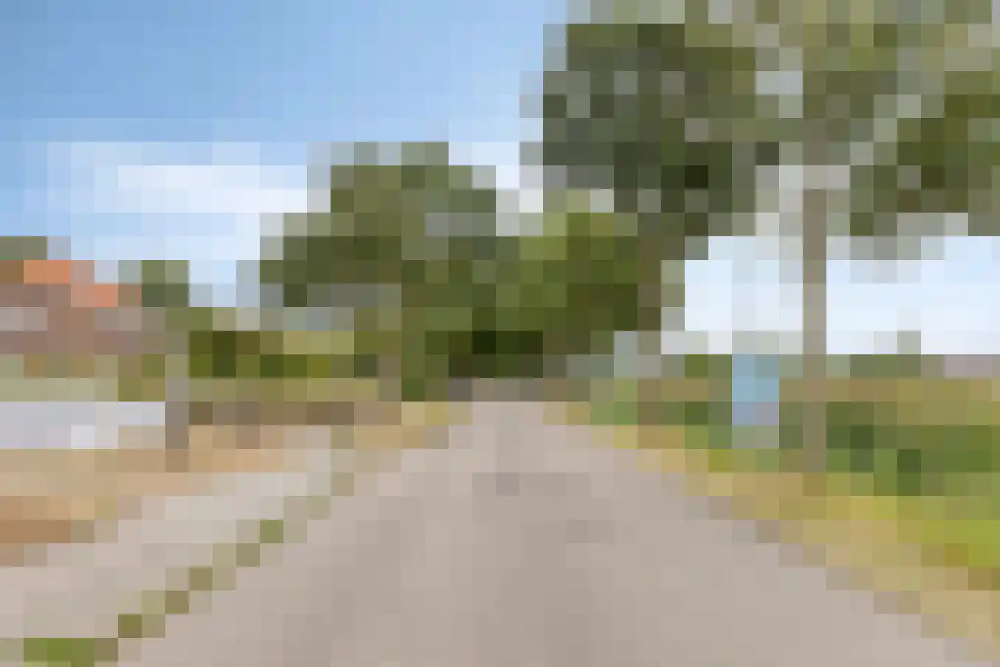 Molenweg 14 Bruinisse thumbnail 40