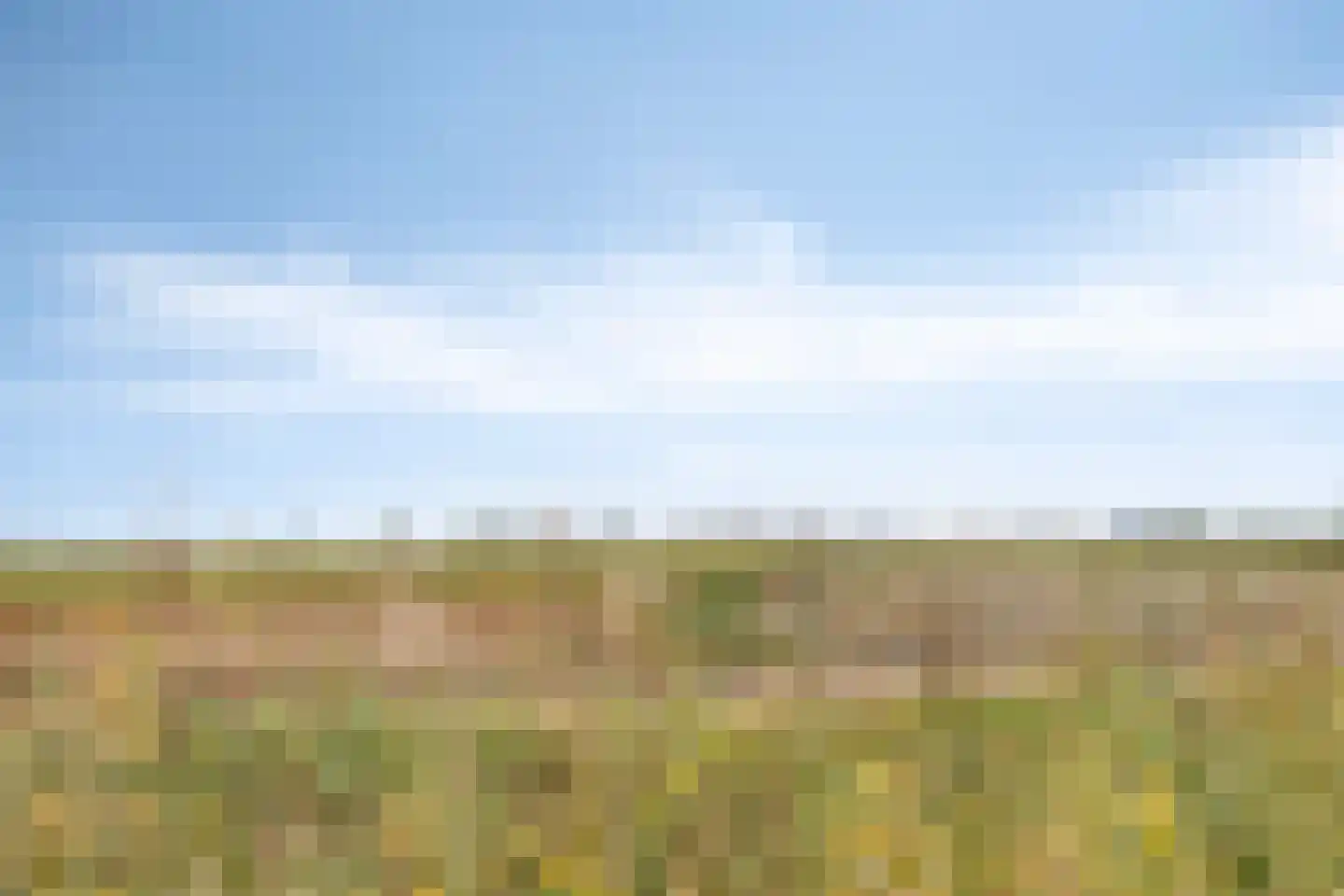 Molenweg 14 Bruinisse thumbnail 41