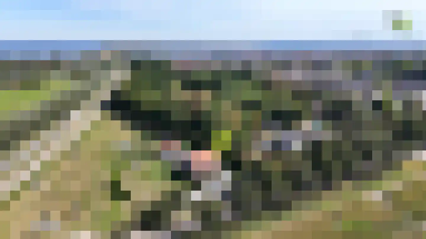 Molenweg 14 Bruinisse thumbnail 42