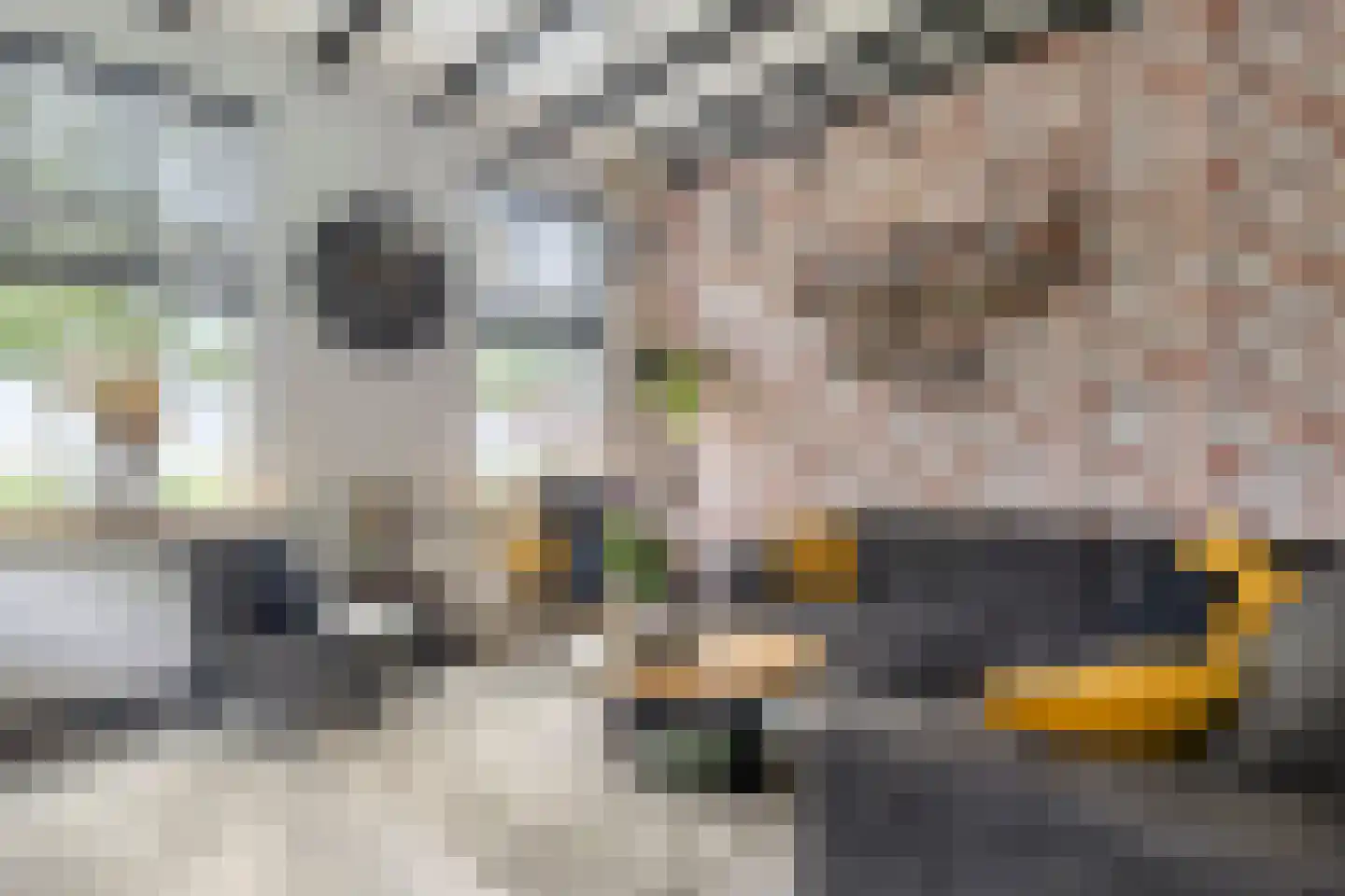 Molenweg 14 Bruinisse thumbnail 9