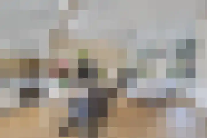 Molenweg 14 Joure thumbnail 10