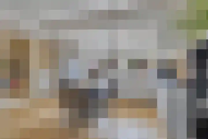 Molenweg 14 Joure thumbnail 11