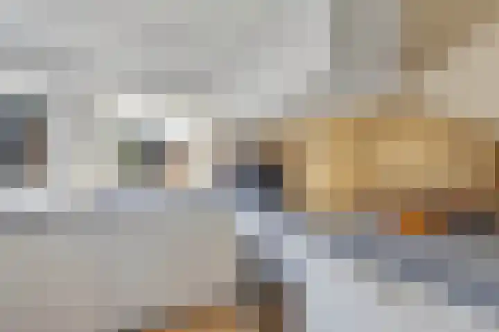 Molenweg 14 Joure thumbnail 12