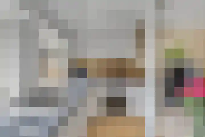 Molenweg 14 Joure thumbnail 14