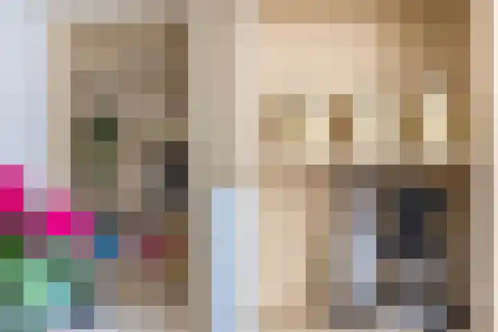 Molenweg 14 Joure thumbnail 17