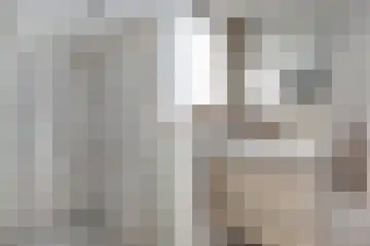 Molenweg 14 Joure thumbnail 27