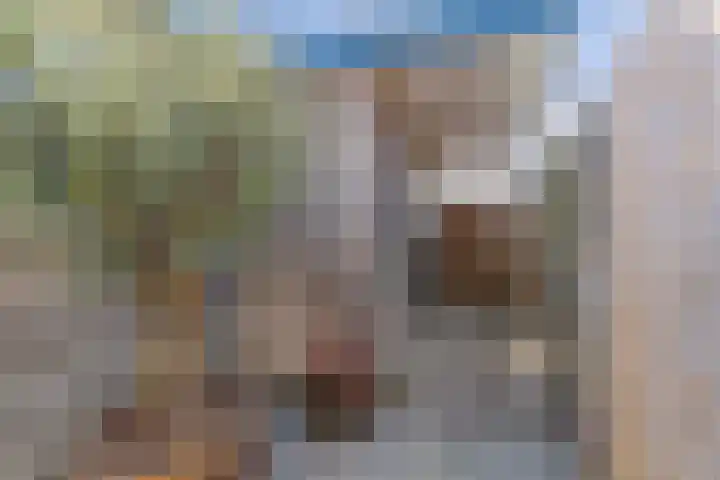 Molenweg 14 Joure thumbnail 29