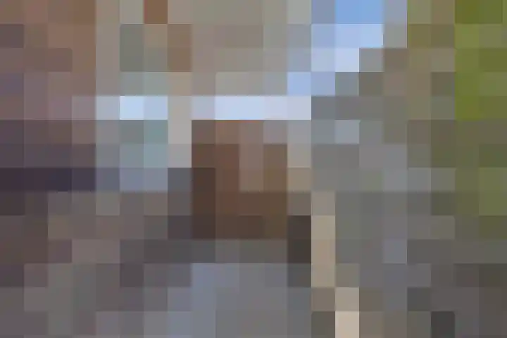 Molenweg 14 Joure thumbnail 30