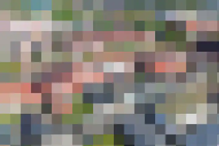 Molenweg 14 Joure thumbnail 39