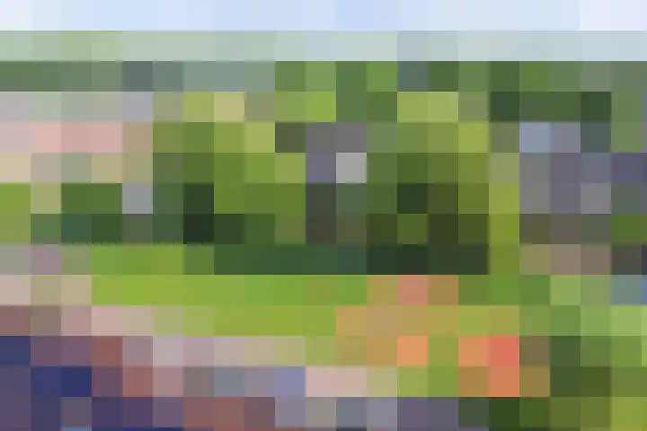 Molenweg 14 Joure thumbnail 41