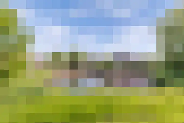 Molenweg 14 Joure thumbnail 42