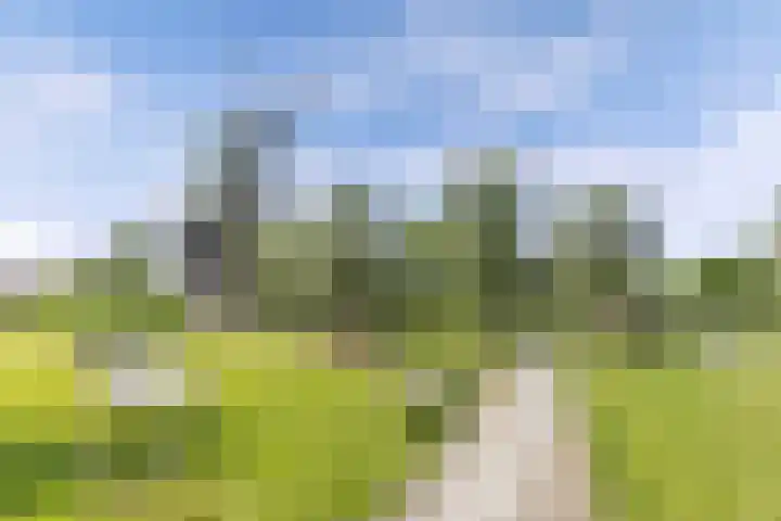Molenweg 14 Joure thumbnail 43