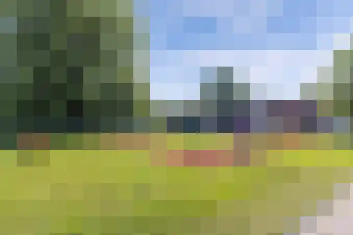 Molenweg 14 Joure thumbnail 44