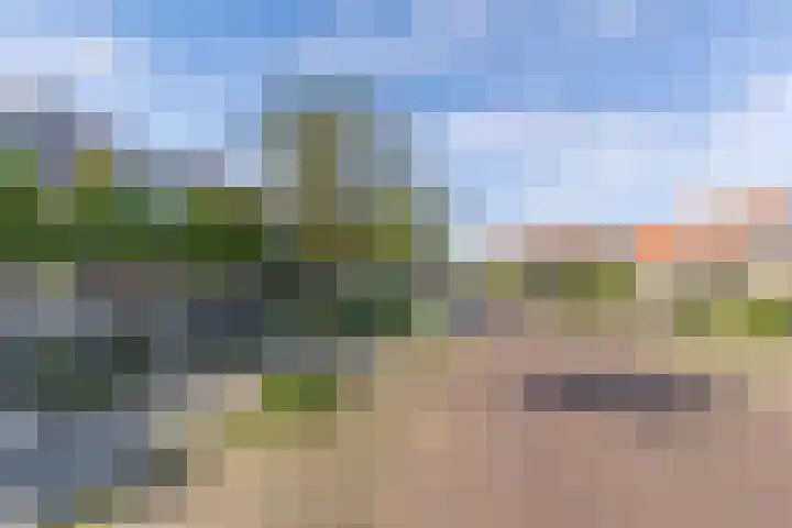 Molenweg 14 Joure thumbnail 46