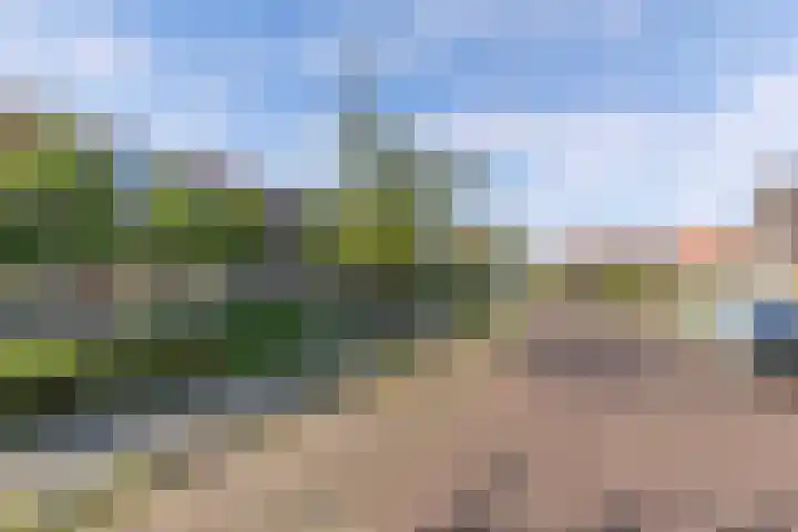 Molenweg 14 Joure thumbnail 48