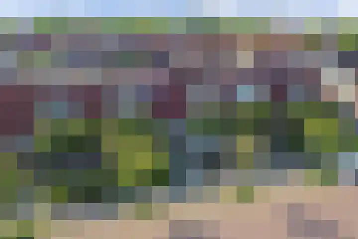 Molenweg 14 Joure thumbnail 49