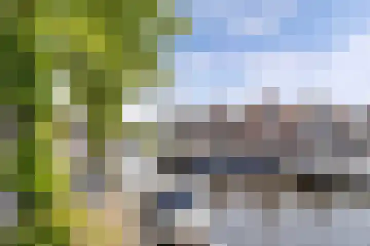 Molenweg 14 Joure thumbnail 5