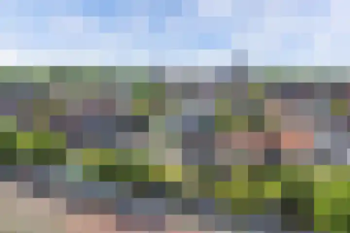 Molenweg 14 Joure thumbnail 50
