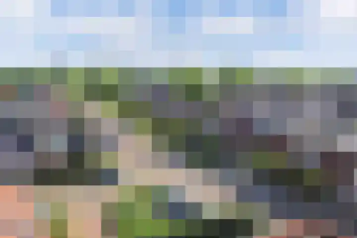 Molenweg 14 Joure thumbnail 51