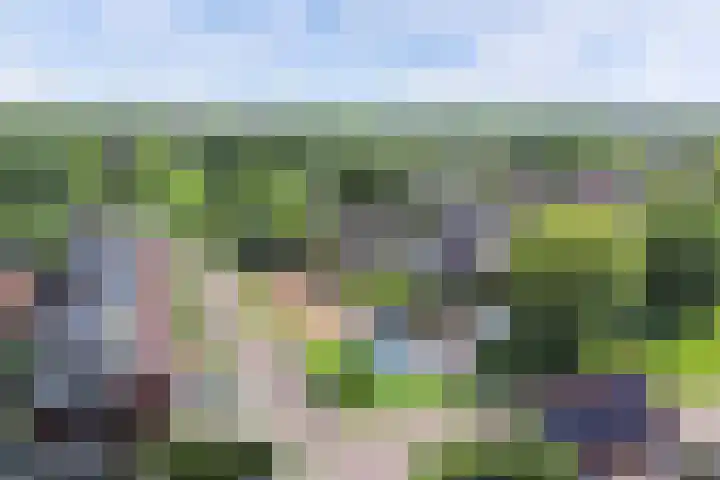 Molenweg 14 Joure thumbnail 52