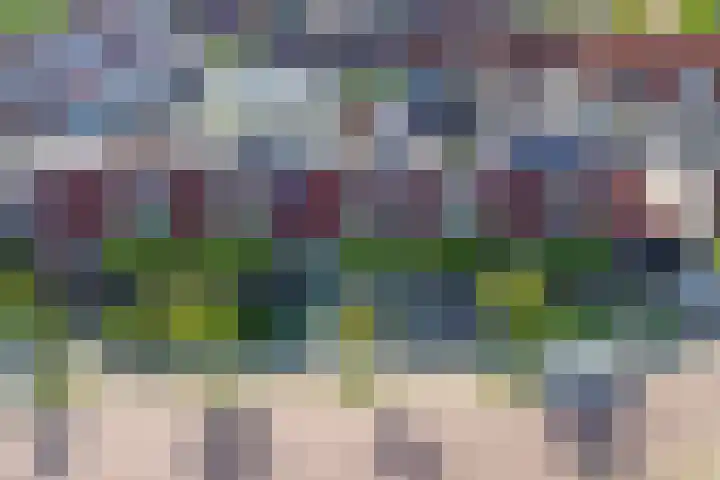 Molenweg 14 Joure thumbnail 53