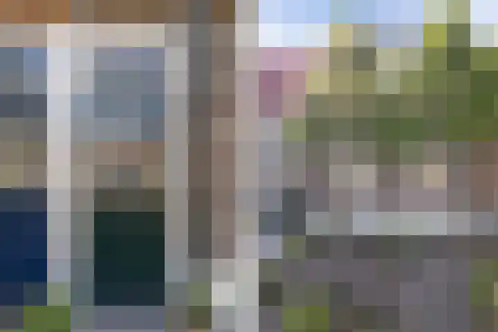 Molenweg 14 Joure thumbnail 55