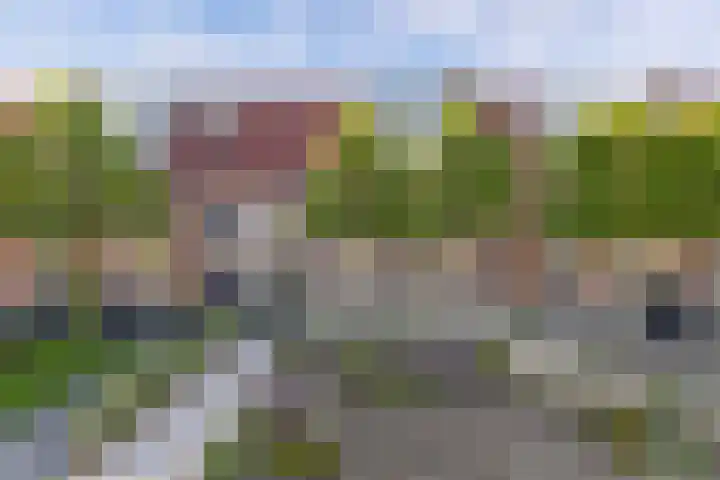 Molenweg 14 Joure thumbnail 58