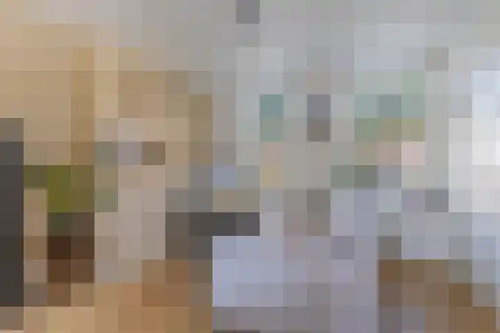 Molenweg 14 Joure thumbnail 7