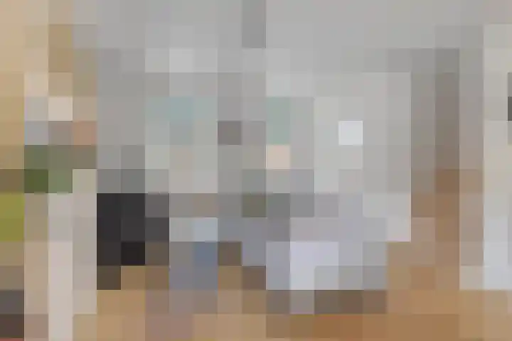 Molenweg 14 Joure thumbnail 8