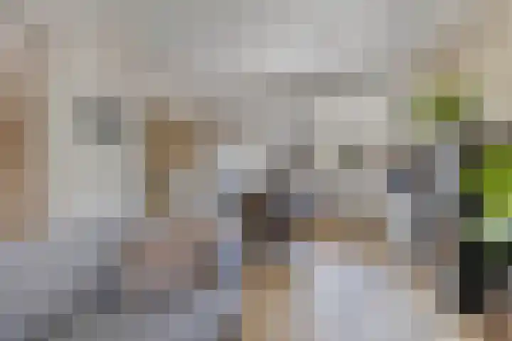 Molenweg 14 Joure thumbnail 9