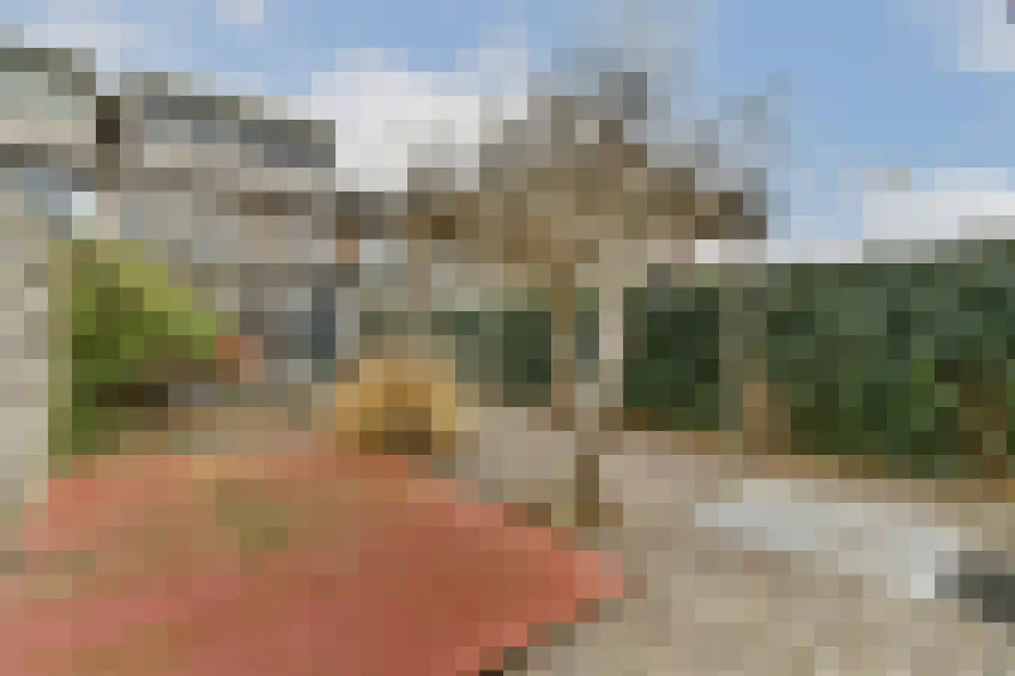 Molenweg 14 Poortugaal thumbnail 25