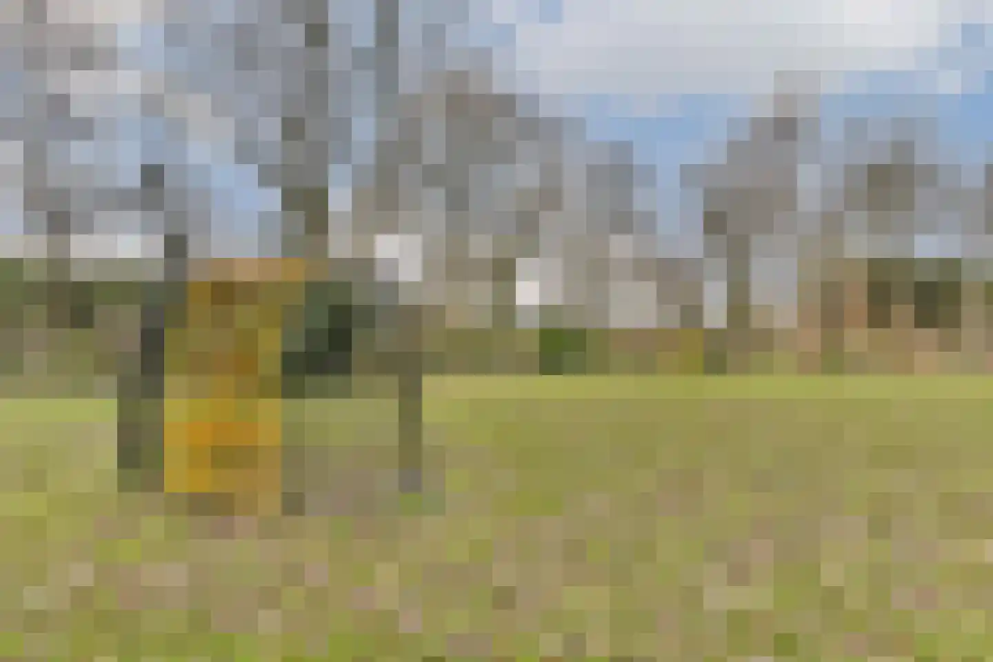 Molenweg 14 Poortugaal thumbnail 29