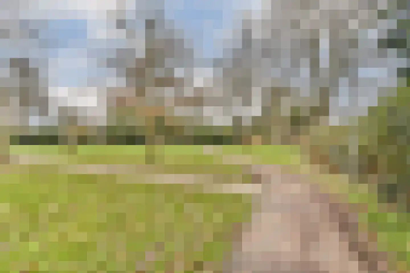 Molenweg 14 Poortugaal thumbnail 30
