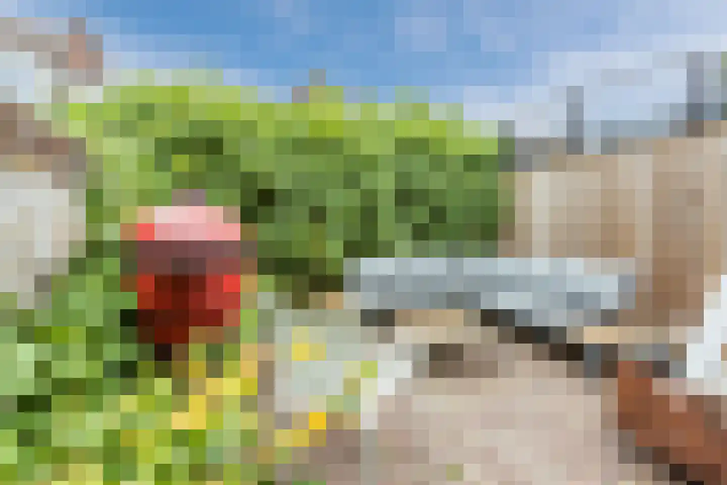 Molenweg 143 Zwolle thumbnail 33