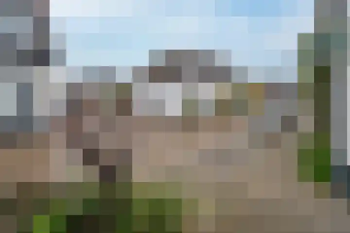 Molenweg 144 Zwolle thumbnail 40