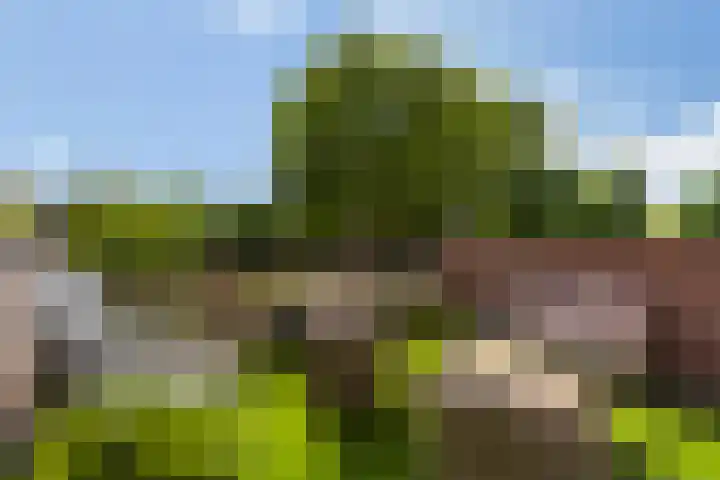Molenweg 149 Rozenburg thumbnail 36