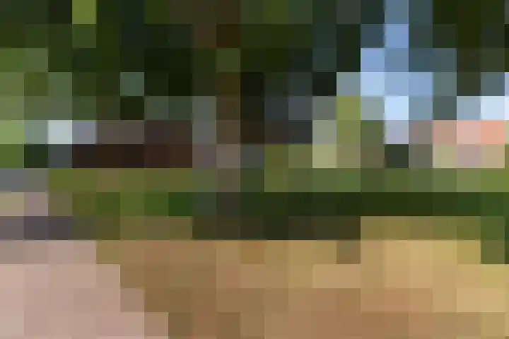 Molenweg 149 Rozenburg thumbnail 45