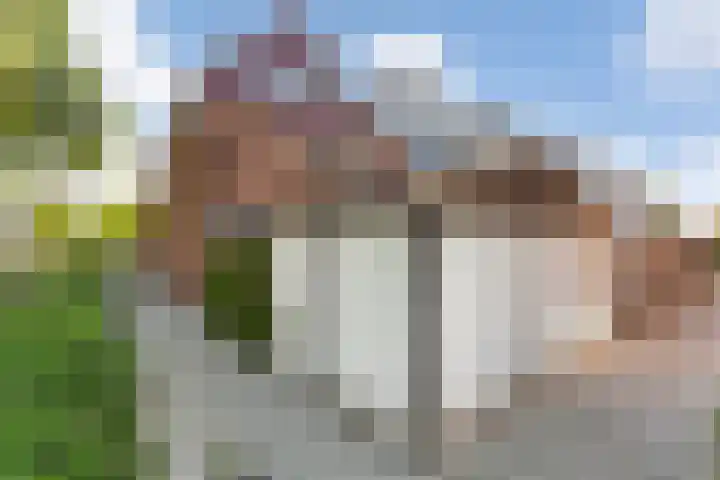 Molenweg 149 Rozenburg thumbnail 47
