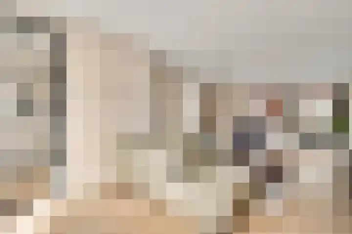 Molenweg 15 Buggenum thumbnail 11