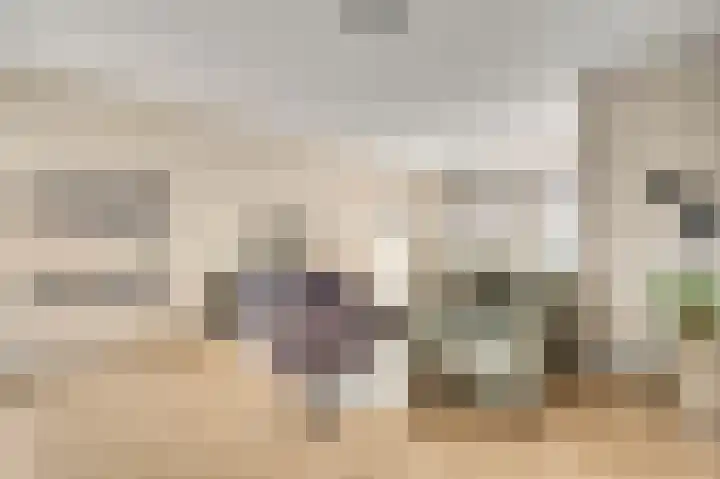 Molenweg 15 Buggenum thumbnail 12