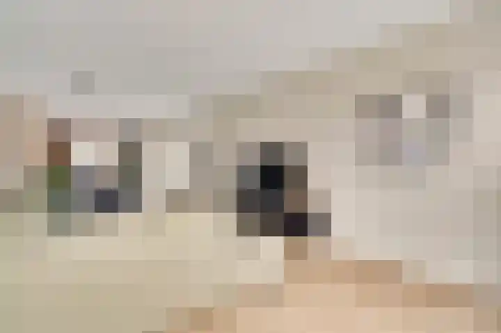 Molenweg 15 Buggenum thumbnail 15