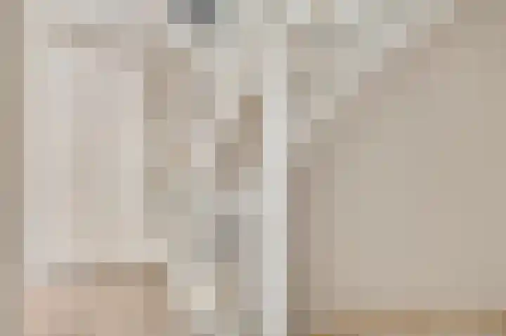 Molenweg 15 Buggenum thumbnail 20