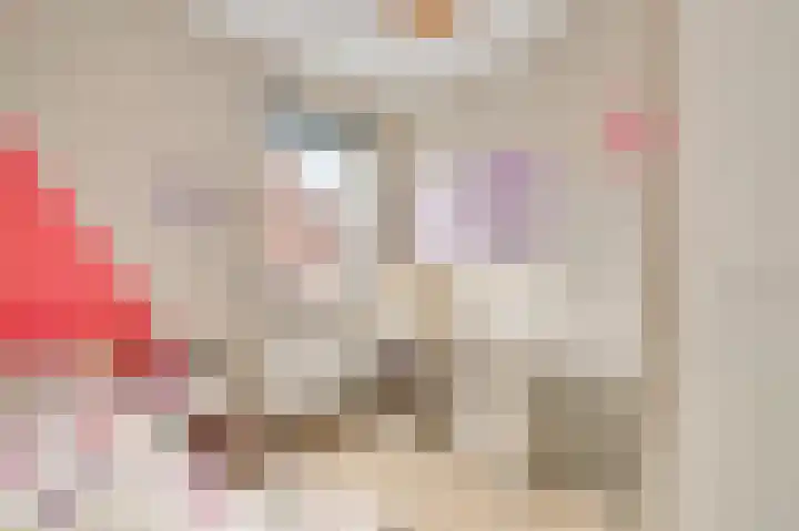 Molenweg 15 Buggenum thumbnail 23