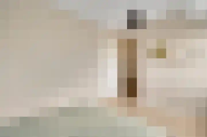 Molenweg 15 Buggenum thumbnail 26