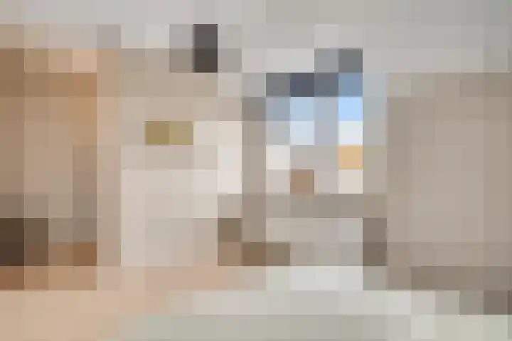 Molenweg 15 Buggenum thumbnail 27