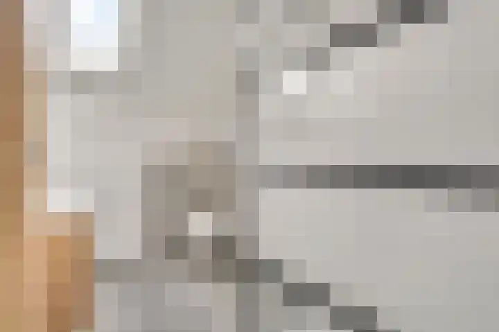 Molenweg 15 Buggenum thumbnail 28