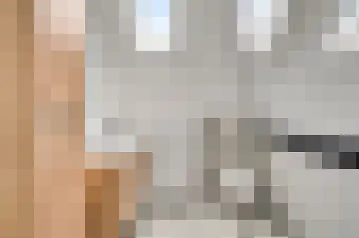 Molenweg 15 Buggenum thumbnail 30