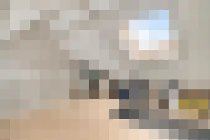 Molenweg 15 Buggenum thumbnail 32