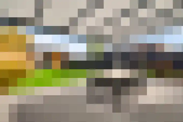 Molenweg 15 Buggenum thumbnail 33
